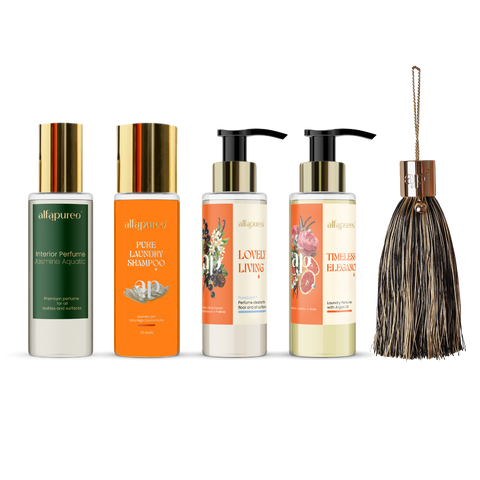 Discovery Set ELEGANT DESIRE -50%