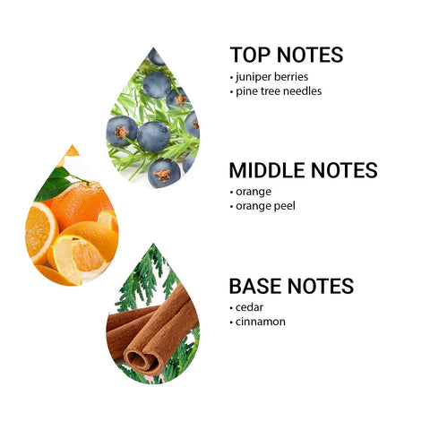 Winter Dream OUTLET -50%